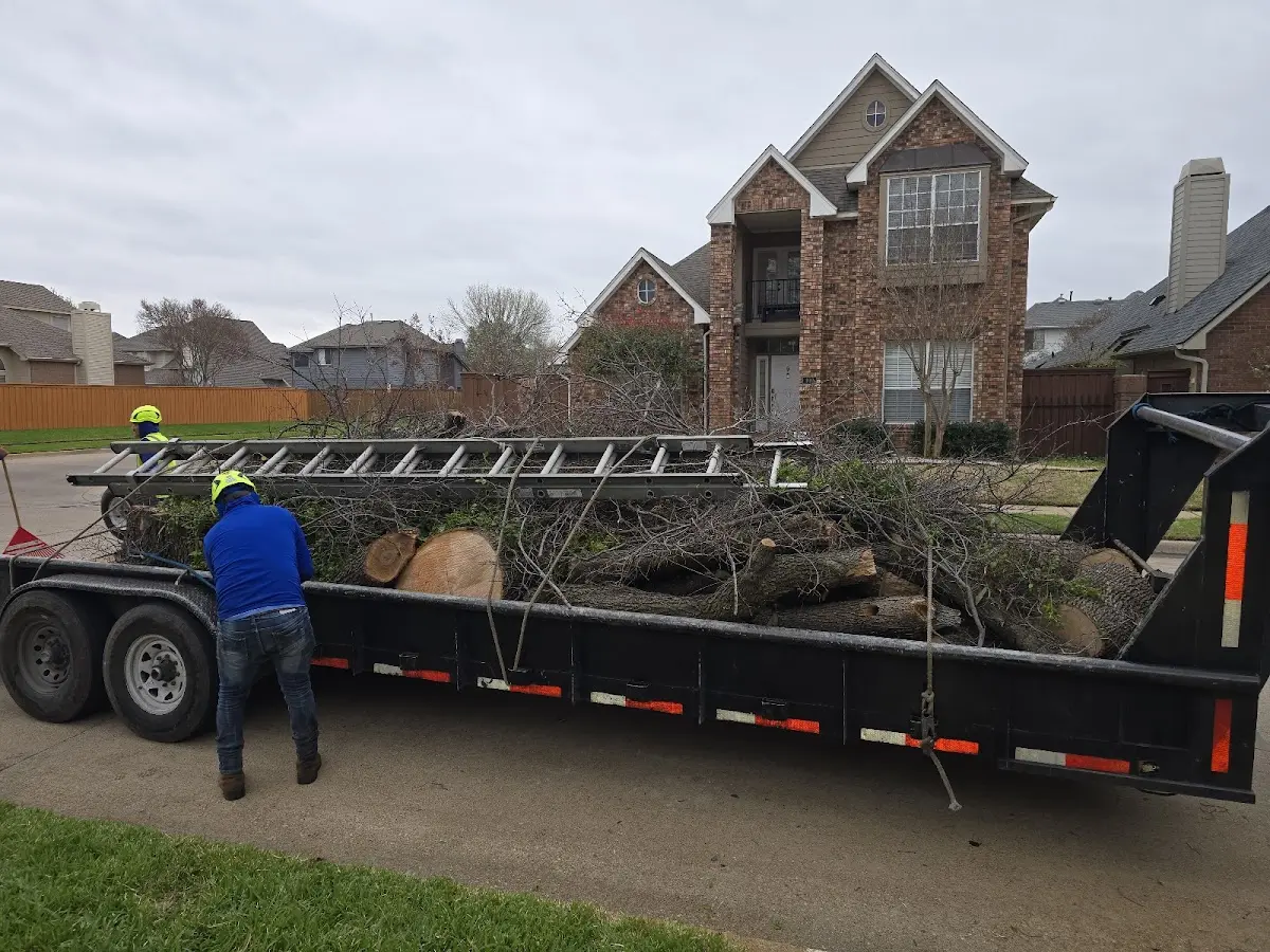 Expert Crown Reduction with proper safety equipment in Bondurant